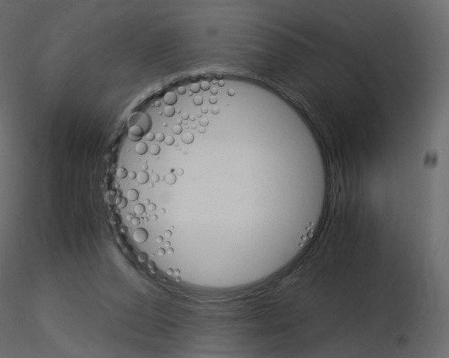 X0000115700208200912241530