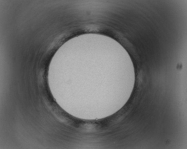 X0000115700209200912241530