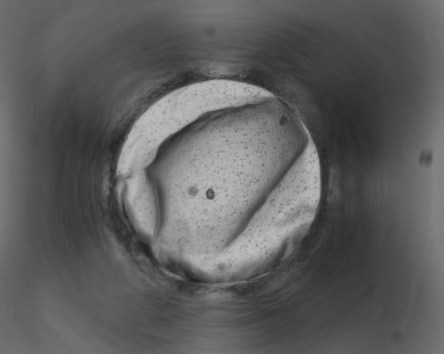 X0000115700210200912241530