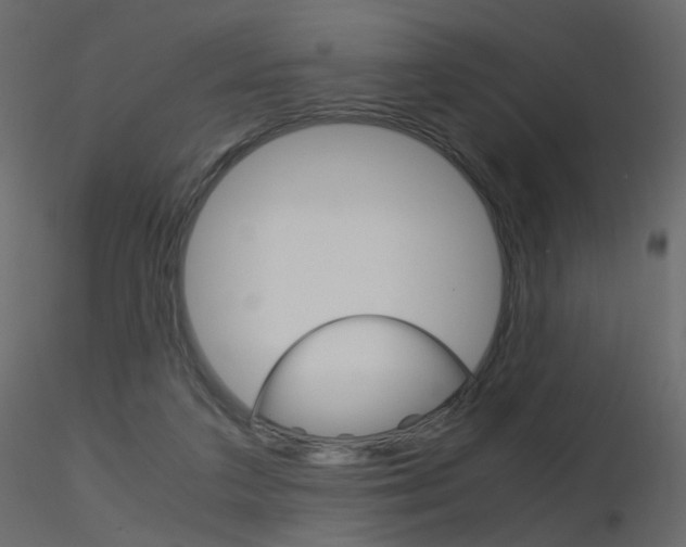 X0000115700211200912241530