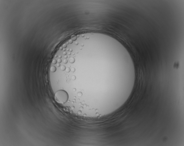 X0000115700212200912241530