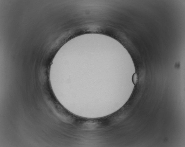 X0000115700213200912241530