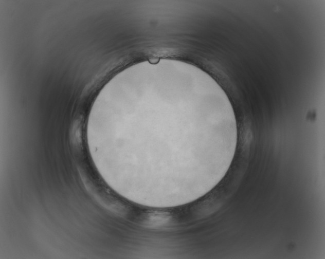 X0000115700214200912241530