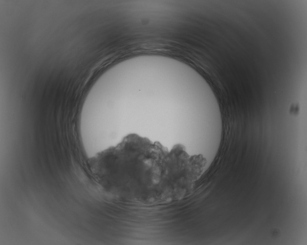 X0000115700216200912241529