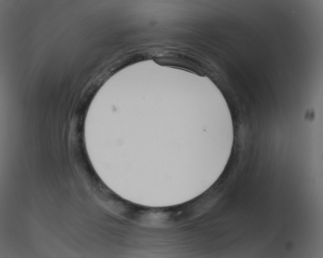 X0000115700217200912241529