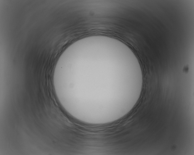 X0000115700219200912241529