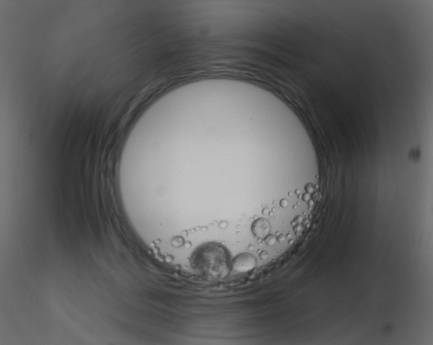 X0000115700220200912241529