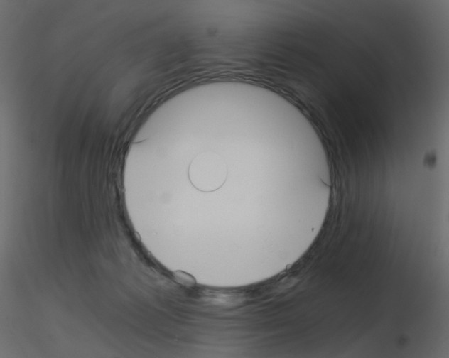 X0000115700221200912241529