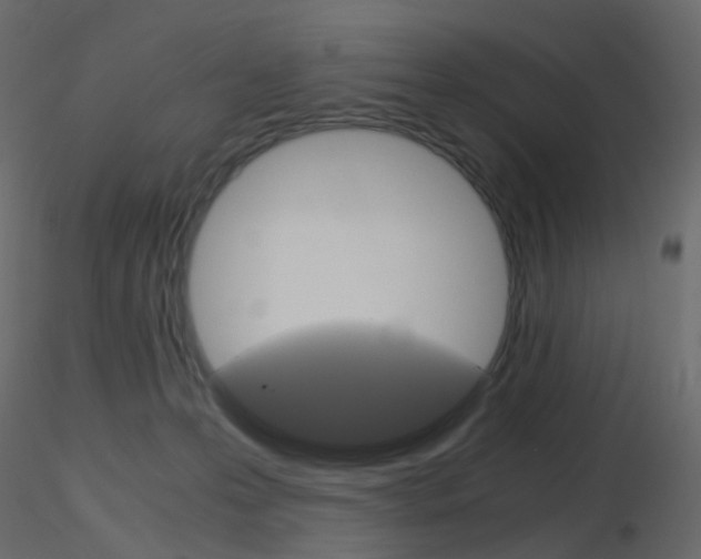 X0000115700223200912241529