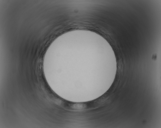 X0000115700225200912241529