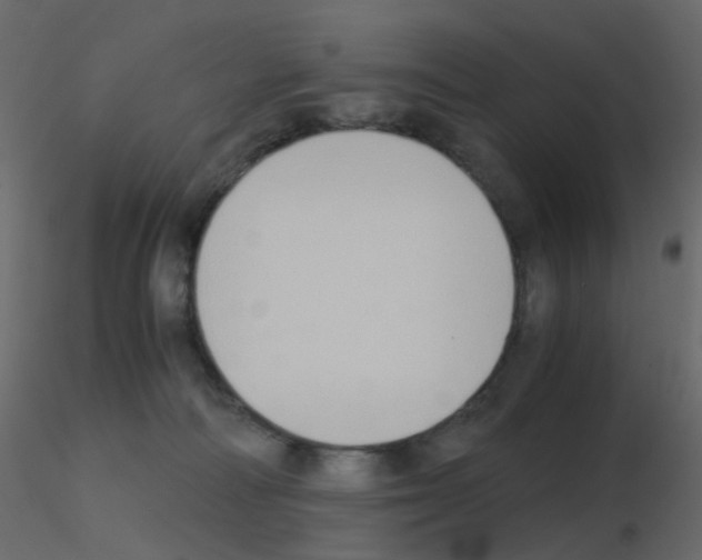 X0000115700226200912241529