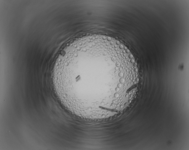 X0000115700228200912241529