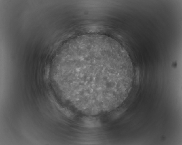 X0000115700230200912241529