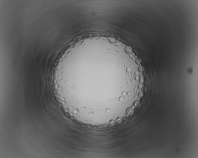 X0000115700232200912241529