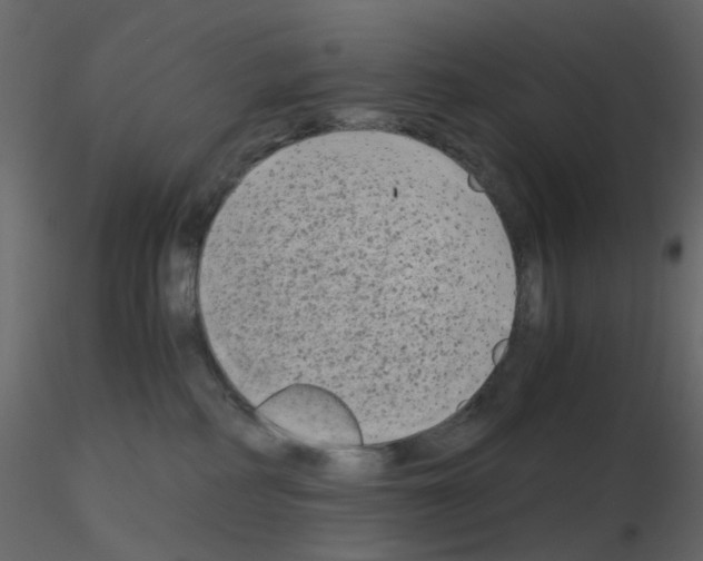 X0000115700234200912241529