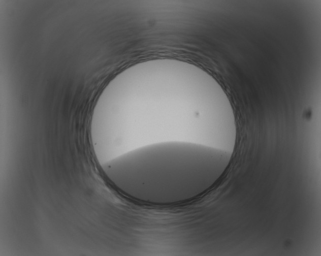 X0000115700235200912241529