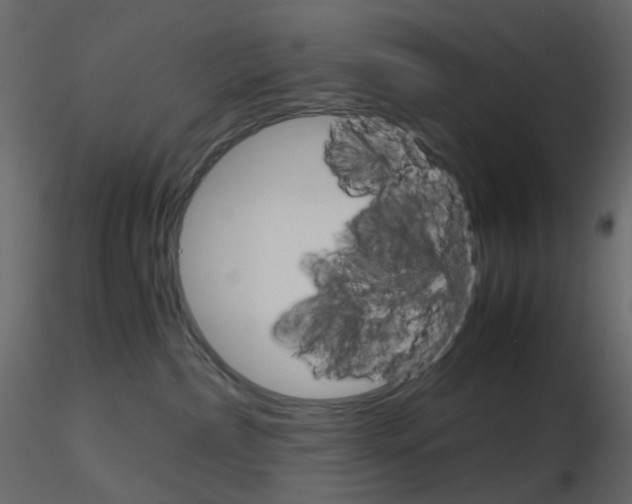 X0000115700236200912241529