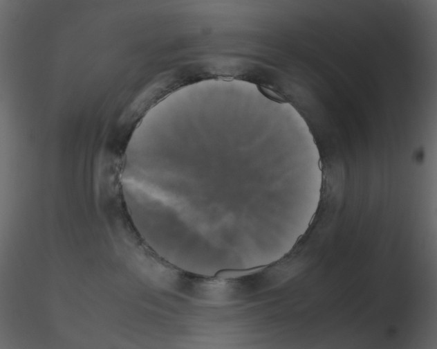 X0000115700237200912241529