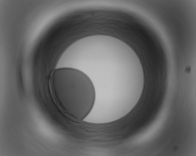 X0000115700239200912241529