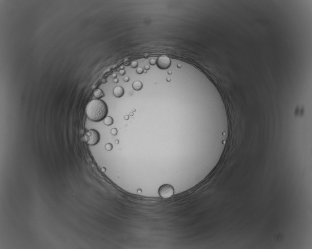 X0000115700240200912241529