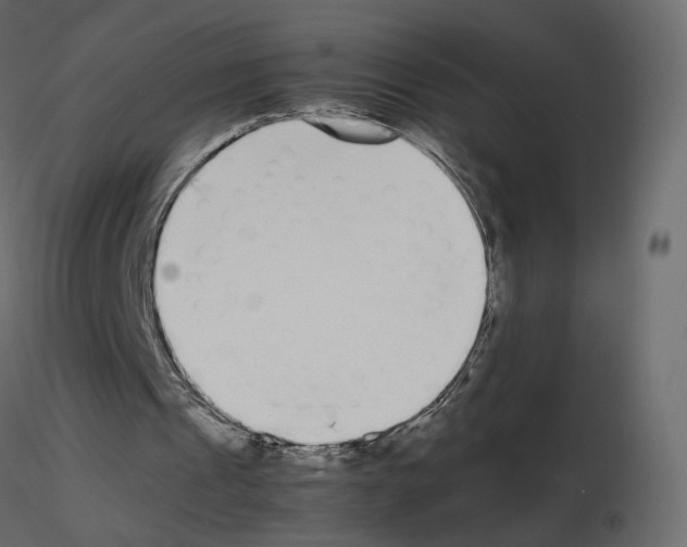 X0000115700241200912241528