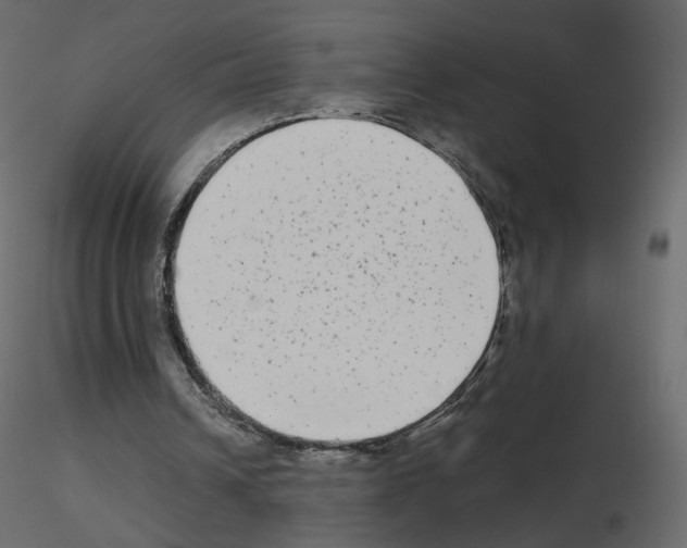 X0000115700242200912241529