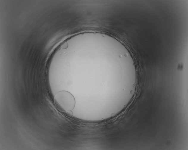 X0000115700243200912241529