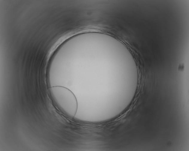 X0000115700244200912241529