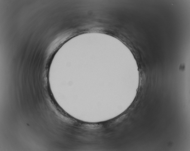 X0000115700245200912241529