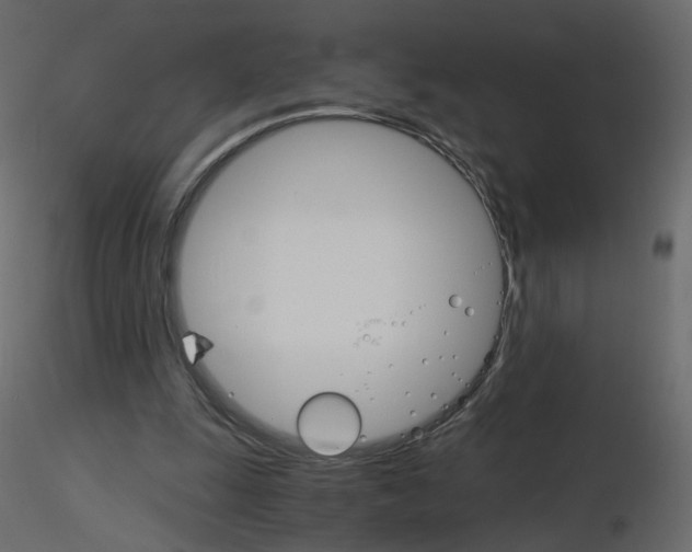 X0000115700247200912241529