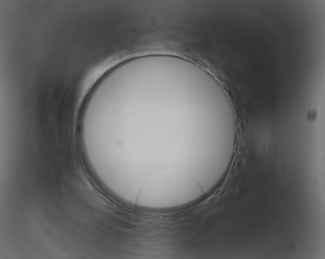 X0000115700248200912241529