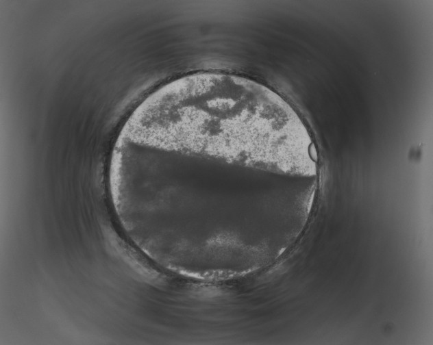 X0000115700249200912241529