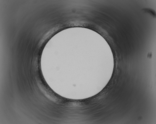 X0000115700250200912241529