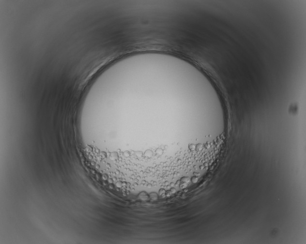 X0000115700251200912241529