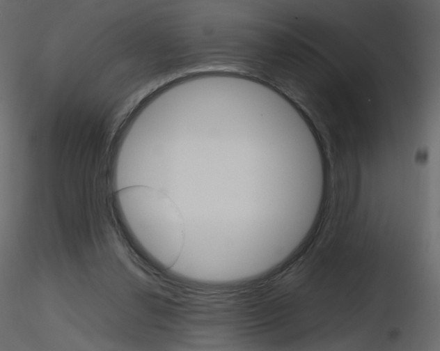 X0000115700252200912241529