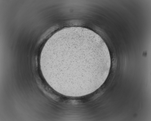 X0000115700254200912241529