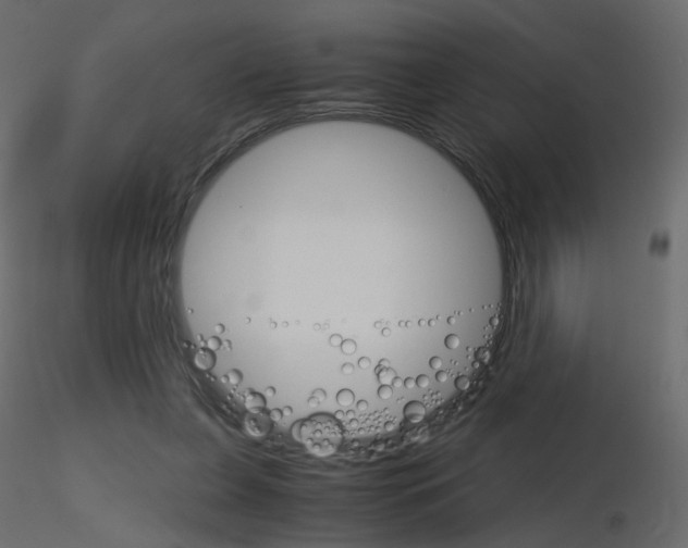 X0000115700255200912241529