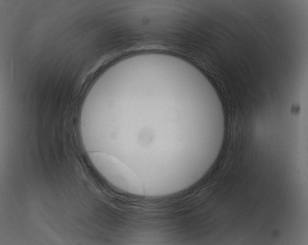 X0000115700256200912241529