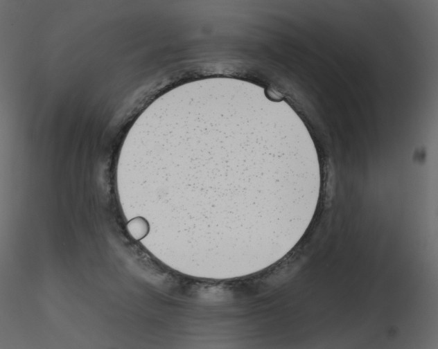 X0000115700258200912241529