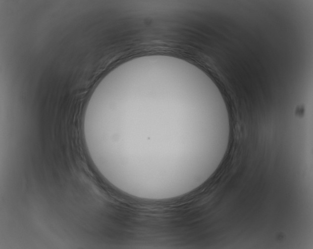 X0000115700259200912241529