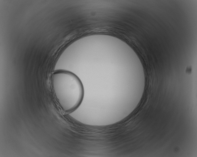 X0000115700260200912241529