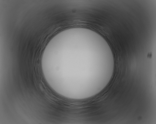 X0000115700263200912241529