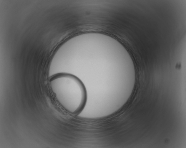 X0000115700264200912241529