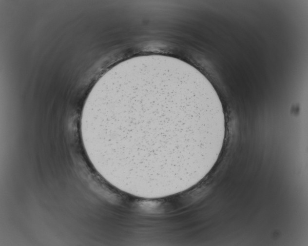 X0000115700265200912241529