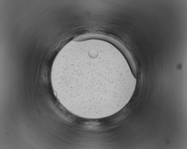 X0000115700266200912241529