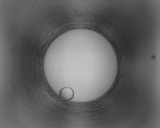 X0000115700268200912241529