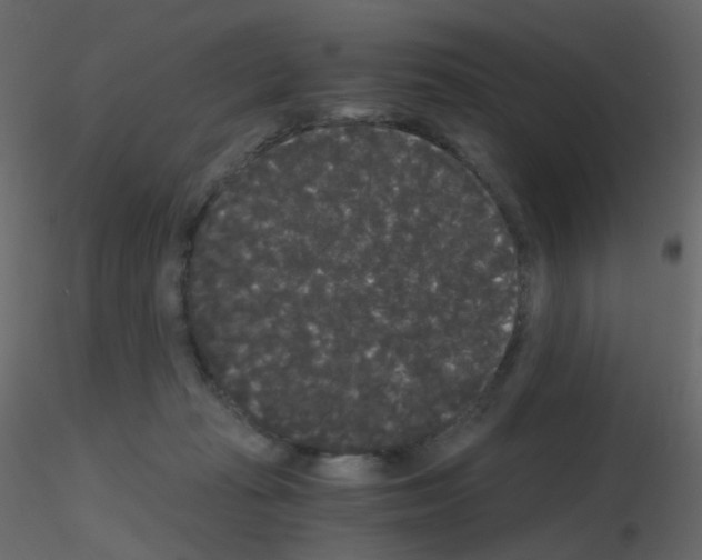 X0000115700269200912241529