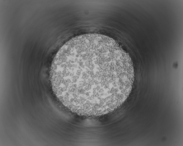 X0000115700270200912241529