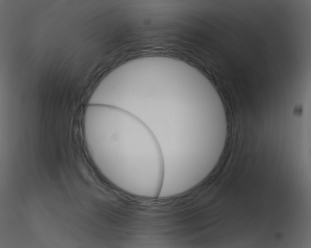 X0000115700272200912241529