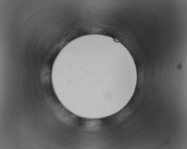 X0000115700274200912241529